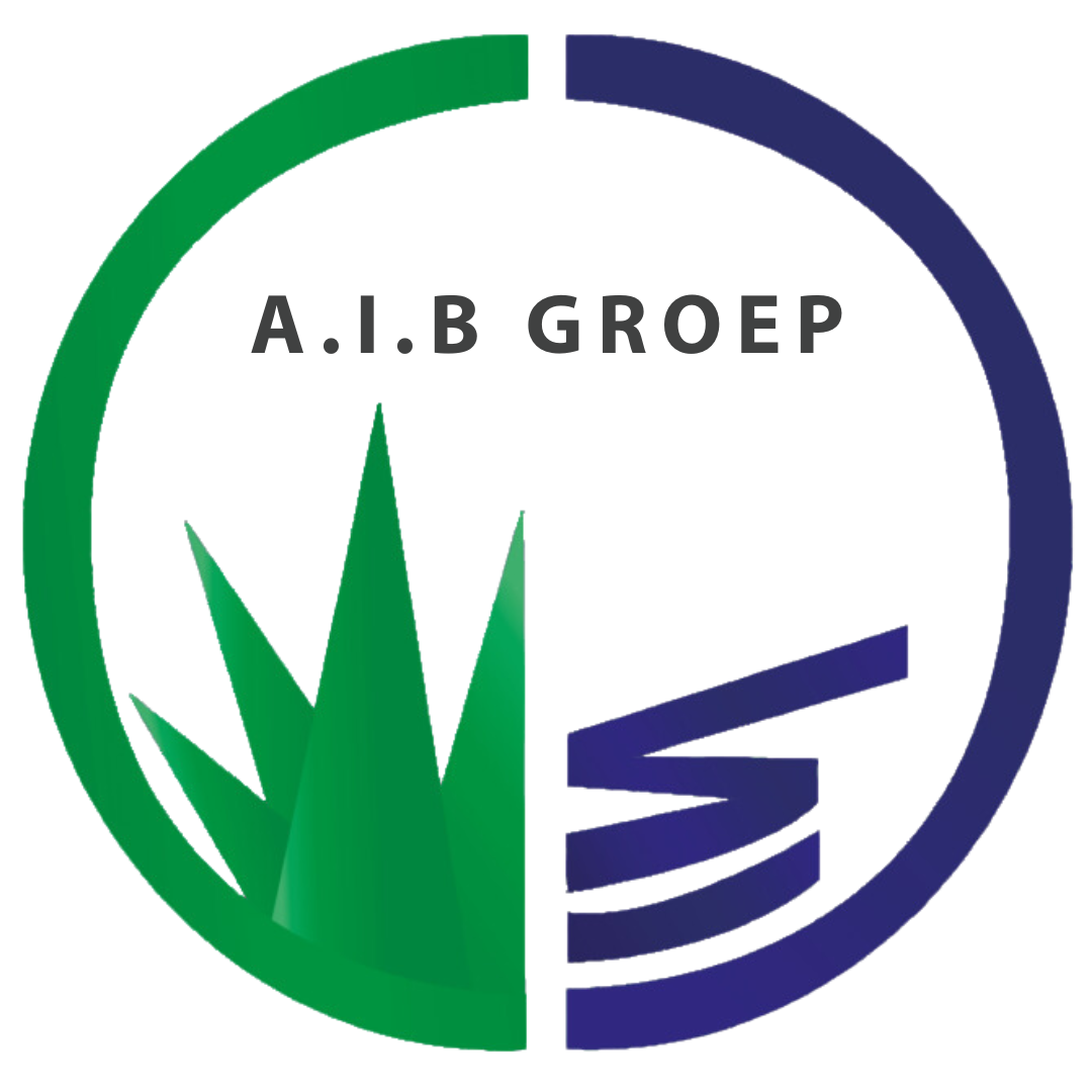 A.I.B